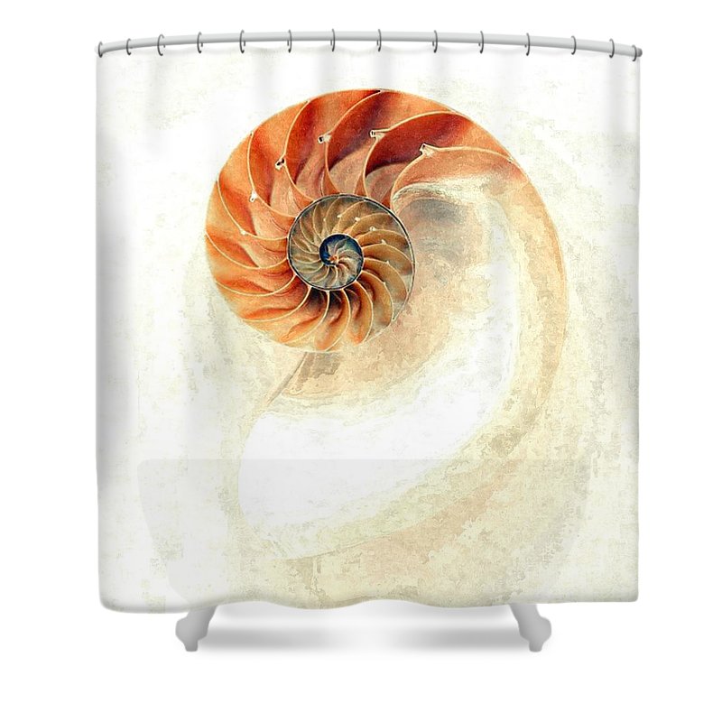 Nautilus - Shower Curtain