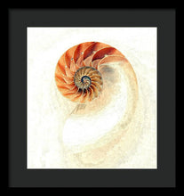 Load image into Gallery viewer, Nautilus - Framed Print
